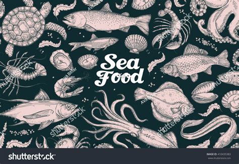 Seafood Hand Drawn Underwater World Vector Vector De Stock Libre De