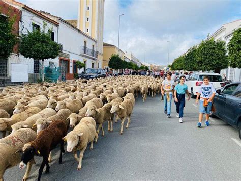 Un Gran Acto Trashumante Reivindica La Ganader A Extensiva Olvidada