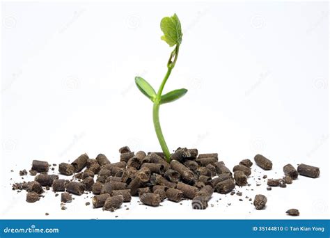 Organic Fertilizer Agriculture Stock Photo - Image: 35144810