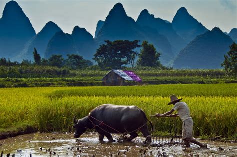 🔥 40 Vietnam Countryside Scenery Wallpapers Wallpapersafari