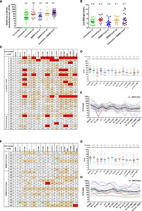 Frontiers Multiple SARS CoV 2 Variants Exhibit Variable Target Cell