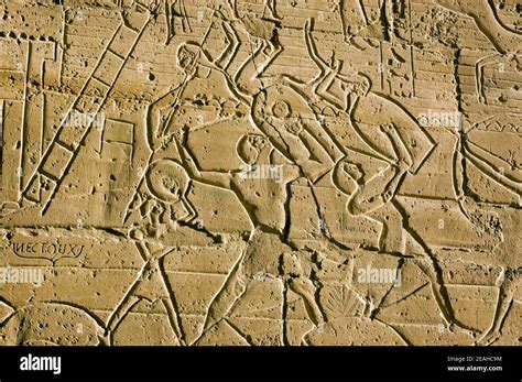 Les Anciens Soldats Gyptiens Qui Se Battent La Bataille De Kadesh