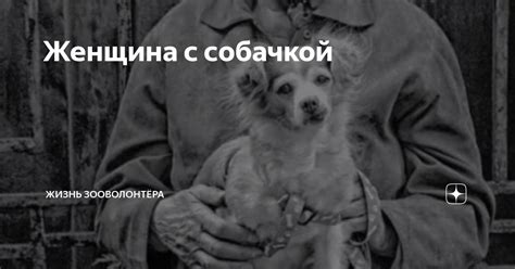 Женщина с собачкой | Жизнь зооволонтёра | Дзен