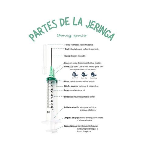 Partes De La Jeringa Nursing Apuntes UDocz