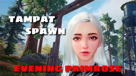 Tempat Spawn MAWAR MALAM Atau EVENING PRIMROSE Di UNDAWN YouTube