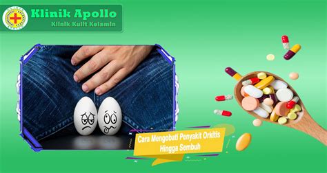 Cara Mengobati Penyakit Orkitis Hingga Sembuh Klinik Apollo Jakarta