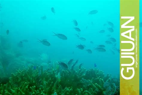 Scuba Diving in Guiuan, Eastern Samar | Lakwatsero