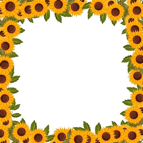 Marco Cuadrado De Primavera Con Flores De Girasol Frontera De Vector De