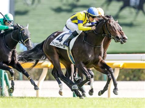 【東京6r新馬戦結果】ドレフォン産駒のアトリウムチャペルが差し切りv！ 競馬ニュース Netkeiba