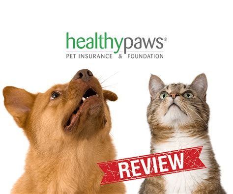 Pet Insurance Reviews | Best & Worst of 2016