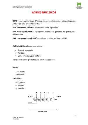 Enzimas Resumos Biomol Culas O Que S O Enzimas Catalisadores