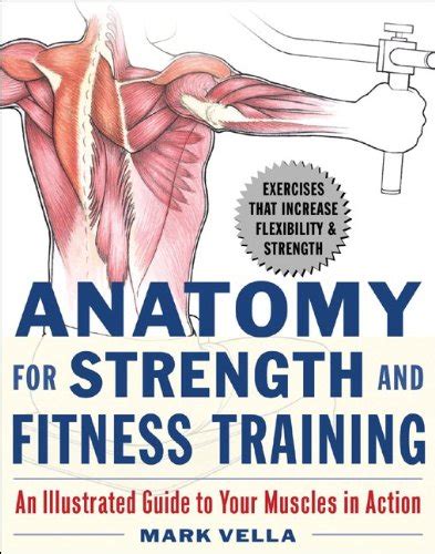 Anatomy For Strength And Fitness Training An Illustrated Guide To Your