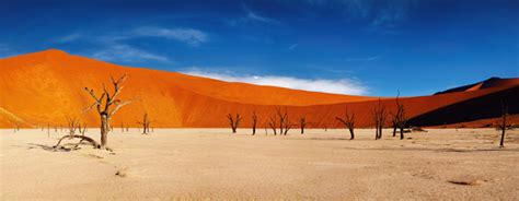 Top 10 Reasons To Visit Namibia On The Go Tours Blog Namib Desert Namibia Travel National