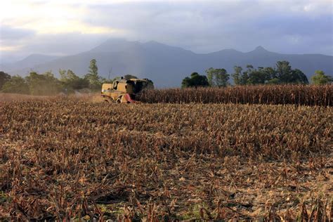 Registro de máquinas agrícolas começou a valer em outubro