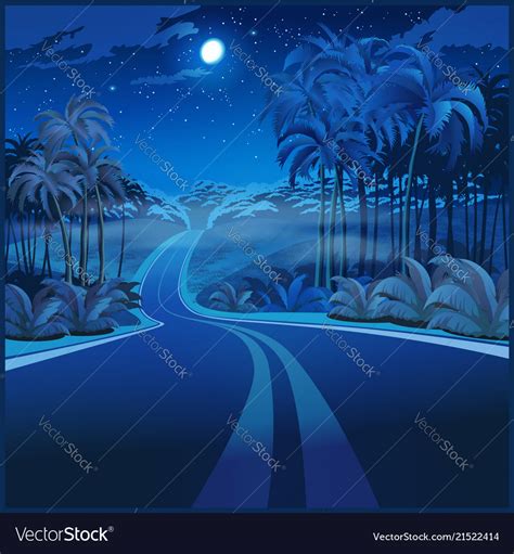 Road Through Jungle At Night Royalty Free Vector Image