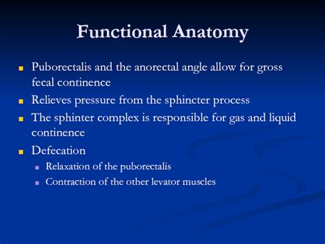 Pelvic аnatomy презентация, доклад