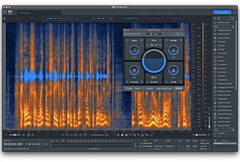 New Toys: iZotope RX 10 Advanced - Music Connection Magazine