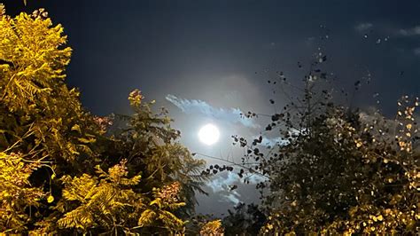 La Luna de Lobo deslumbra a Ecuador por qué se llama así