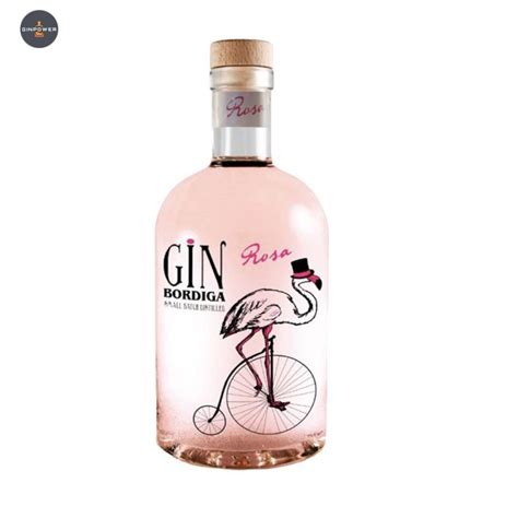 Bordiga Gin Premium Rosa 0 7L 42 Vol GINPOWER De