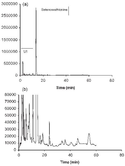 Se Specific Hplc Icp Ms Chromatograms Of The Enzymatic Hydrolysis Of Download Scientific