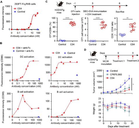 Jurkat Gfp Cells Bioz Ratings For Life Science Research