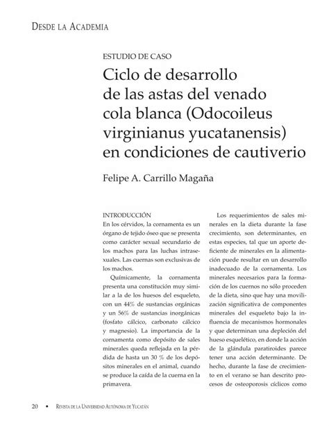 Pdf Ciclo De Desarrollo De Las Astas Del Venado Cola Blanca