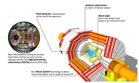 Rice insight gives Large Hadron Collider better eyesight