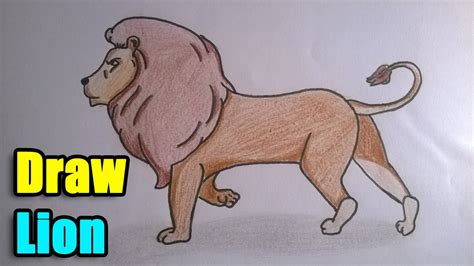 How To Draw Lion Step By Step Guide