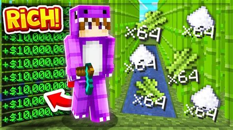 INSANE STARTER MONEY FARM On NEW MINECRAFT SKYBLOCK MAP New