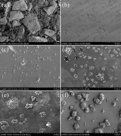 Sem Micrographs Of Composite Materials With Various Contents Of