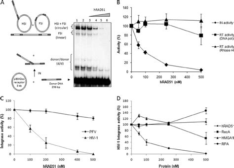 Hiv Integrase Specific Inhibition By Hrad A Effect Of Hrad On