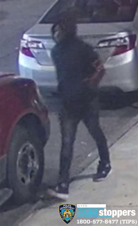 Help Identify An Assault Suspect The Bronx Daily