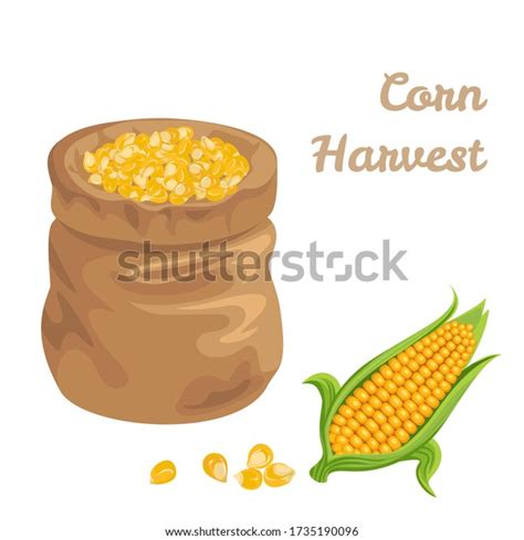 Corn Sack Design Images Stock Photos Vectors Shutterstock