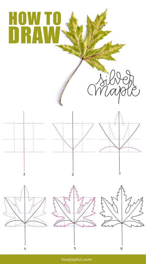 How To Draw Leaves