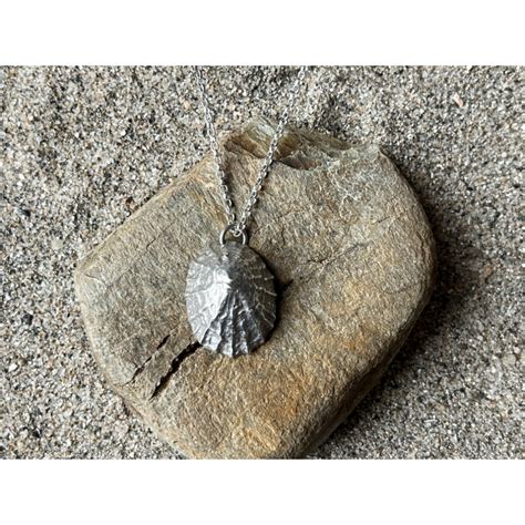 Limpet Shell - Rockshells