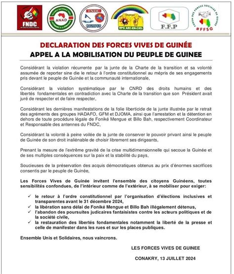 Crise politique en Guinée lappel à la mobilisation des forces vives