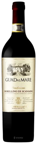 2013 Castellani Guadalmare Morellino Di Scansano Vivino US