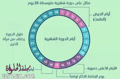 جدول ايام التبويض بعد الدورة