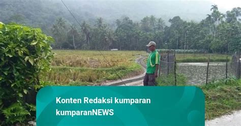 Kementan Realisasikan Program RJIT Tingkatkan Kesejahteraan Petani Di