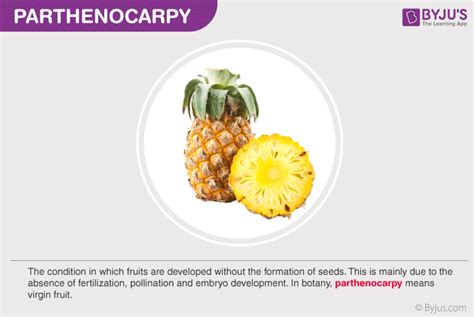 Parthenocarpy - Types And Parthenocarpic Fruits