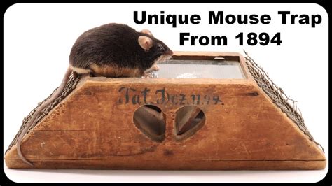 This Unique Mouse Trap From 1894 Is Packed Full Of Mice Mousetrap