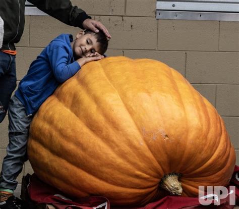 Photo World Championship Pumpkin Weigh Off In Half Moon Bay