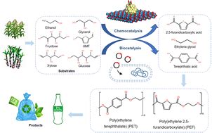 Progress In The Biosynthesis Of Bio Based Pet And Pef Polyester