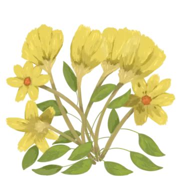 Flower And Leaves 2d Type 24 Flower Leaves Flowers PNG Transparent