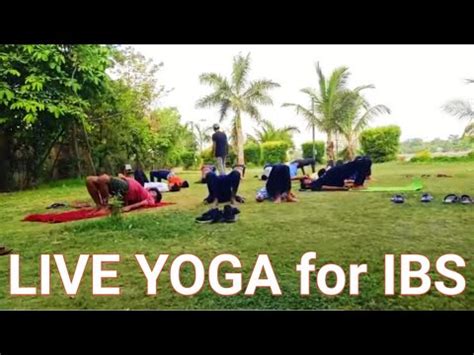 Live Yoga For IBS For Treatment Call 9913072777 IBS Specialist YouTube