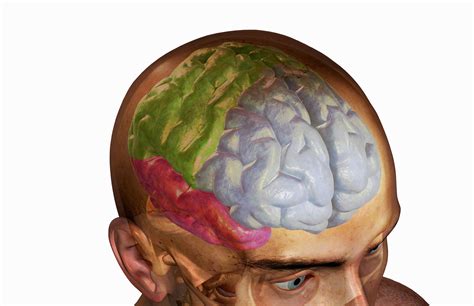 frontal lobe head trauma effects  treatment