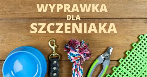 Wyprawka dla szczeniaka lista najpotrzebniejszych produktów