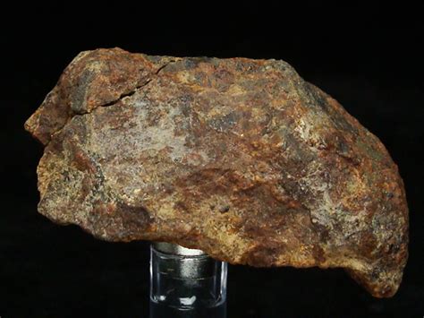 Goldbasinmeteorite53gms
