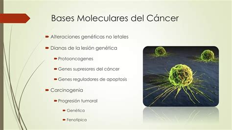 Generalidades De Neoplasias PPT