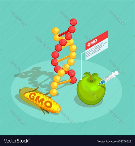 Gmo Food Isometric Composition Royalty Free Vector Image